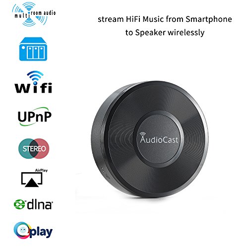 Wireless DLNA Airplay RIVERSONG Music Receiver Adapter NAS 
