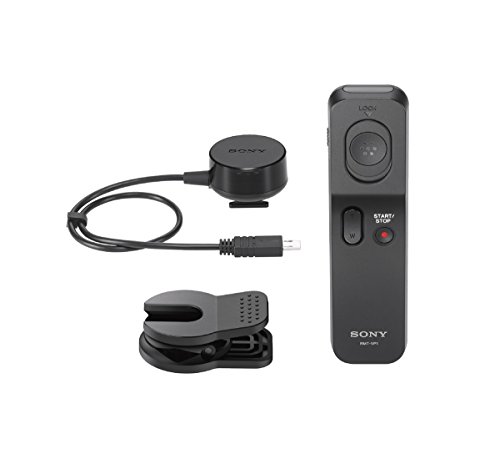 Sony Wireless Remote Commander and Receiver 