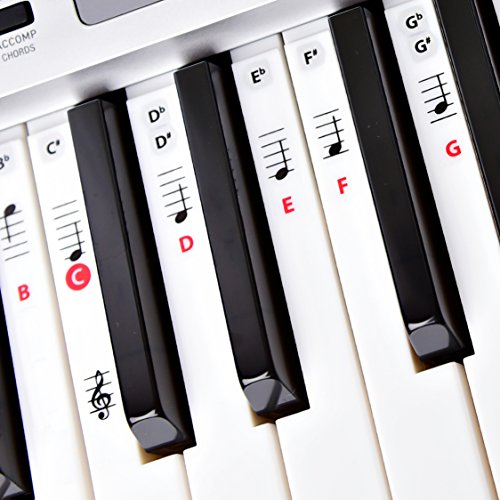 Best Adhesive Piano Key and Note Keyboard Stickers for 