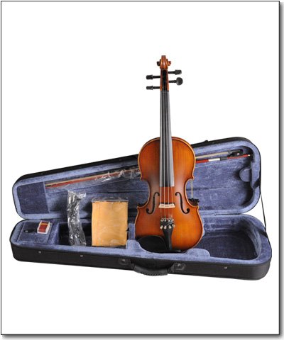 Aileen VE102B 4 strings Electric Violin with EQ,natural 