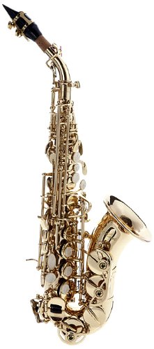 Hawk Curved Soprano Saxophone Gold with Case, Mouthpiece 