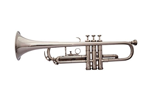 BEGINNER STUDENTS New Silver Bb Trumpet With Free Hard 