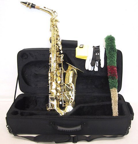 SKY Student Eb Alto Saxophone with Case and Accessories 