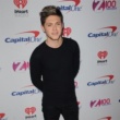 Niall Horan Thinks He Owes His Career To Good Fortune 